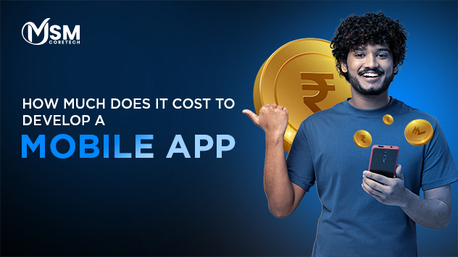 Jaipur, Business, How Much Does A Mobile App Cost?