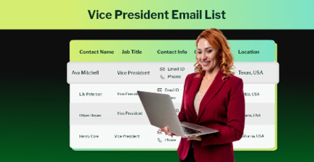 Chicago, Business, Target Vice Presidents (VPs) Using Updated & Verified Email List