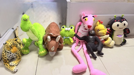 Manama, Toys & Games, BHD 6,  8 Pcs All Soft Toys Together Excellent Condition And Great