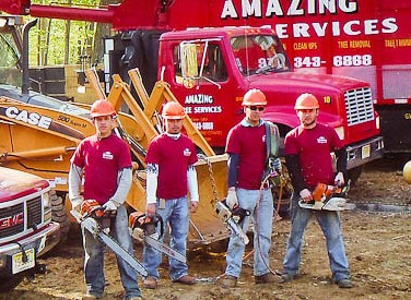 New York, Business, Tree Service In Little Ferry, NJ &ndash; Amazing Tree Services