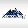 Starting At Just $199, Search Berg Offers A Google My Business Setup Service