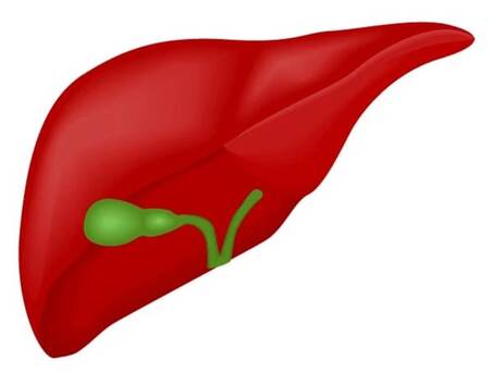 Ahmedabad, Health, Best Pancreatic Surgeon In Ahmedabad &ndash; Dr. Vishal Soni | Expert & Safe Surgical Care