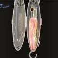 Fishing Lure Protector | Safe & Tangle-Free Storage