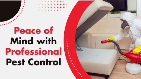 Sydney, Pest Control, Pest Control Heidelberg &ndash; Fast, Safe & Reliable Solutions