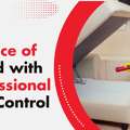 Pest Control Heidelberg &ndash; Fast, Safe & Reliable Solutions