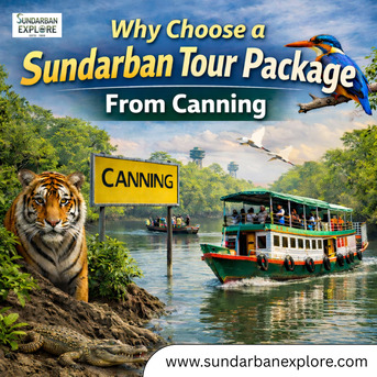 Mumbai, Business, Why Choose A Sundarban Tour Package From Canning