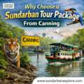 Why Choose A Sundarban Tour Package From Canning