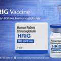 PHP 100,  HRIG Rabies Vaccine Wholesale Supply In Philippines - Oddway