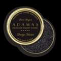 Luxury Food Beluga Sturgeon Caviar Dubai | Premium Beluga Fish Caviar