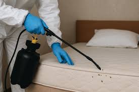  , MATTRESS CLEANING & BED BUG TREATMENT – AL KHOBAR ✅✅✅, 1