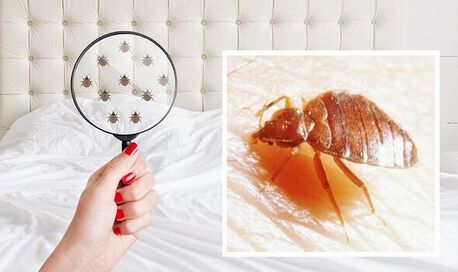  , MATTRESS CLEANING & BED BUG TREATMENT – AL KHOBAR ✅✅✅, 3