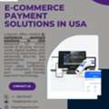 Secure & Scalable E-Commerce Payment Solutions For USA Businesses
