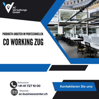 Geneva, Business, Produktiv Arbeiten Im Professionellen Co Working Zug