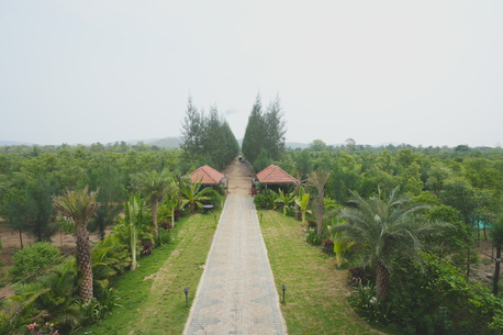 Mumbai, Agricultural Land, Top Tips For Investing In Agricultural Land In Maharashtra