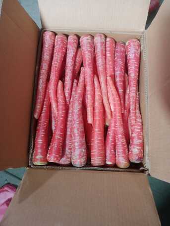 Riyadh, Farm & Garden, SAR 50,  Pakistani Vegetable And Fruits