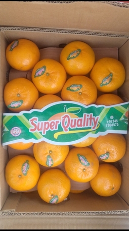 Riyadh, Farm & Garden, SAR 50,  Pakistani Vegetable And Fruits