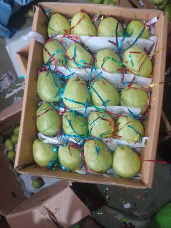 Riyadh, Farm & Garden, SAR 50,  Pakistani Vegetable And Fruits