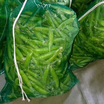 Riyadh, Farm & Garden, SAR 50,  Pakistani Vegetable And Fruits