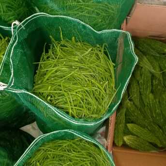 Riyadh, Farm & Garden, SAR 50,  Pakistani Vegetable And Fruits