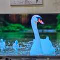SAR 700,  LED TV Available In Excellent Condition.