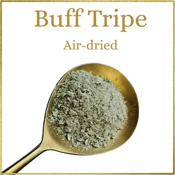 Bangalore, Pet Supplies, Feeding Pace And Portion Awareness Influence A Dog&rsquo;s Metabolic Health