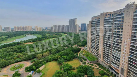 Gurgaon, Housing Exchanges, Studio,  DLF The Magnolias Gurgaon &ndash; Ultra Luxury 4 & 5 BHK Apartments On Golf Course Road