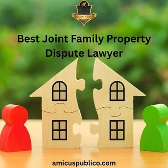 Mumbai, Counseling, Best Joint Family Property Dispute Lawyer