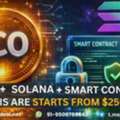 Complete ICO Development, Solana Token Development & Smart Contracts &ndash; From $2500