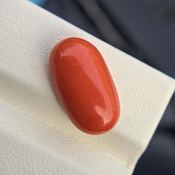 Ahmedabad, Business, Rishabhjains.com | Red Coral Gemstone Wholesaler In Ahmedabad, Gujarat, India