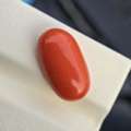 Rishabhjains.com | Red Coral Gemstone Wholesaler In Ahmedabad, Gujarat, India