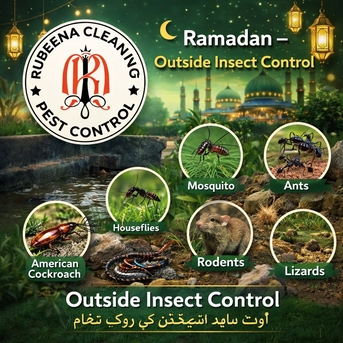 Manama, Pest Control, Ramadan 40%OFF Just Only 12 BHD Book Your Appointment Rubeena Pest Control Services