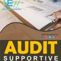 Audit Supportive Service