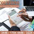 Investigation Accounting Consultant Data