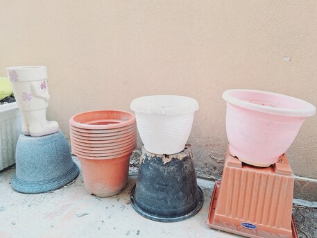 Manama, Farm & Garden, BHD 20,  Used Plant Pots And Organic Soil For Urgent Sale