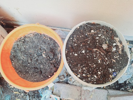 Manama, Farm & Garden, BHD 20,  Used Plant Pots And Organic Soil For Urgent Sale