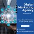 Digital Marketing Agency In Panchkula.