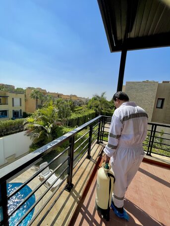 Cairo, Cleaning, مكافحة الذباب: القضاء على الذباب المنزلي ف