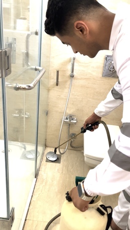 Cairo, Cleaning, مكافحة الذباب: القضاء على الذباب المنزلي ف