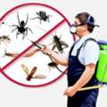 ✅✅✅ PEST CONTROL & BED BUG TREATMENT &ndash; JEDDAH ✅✅✅