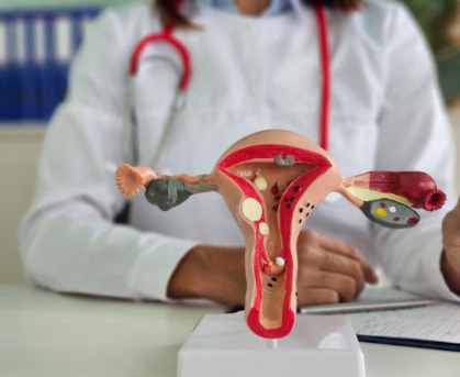 Kolkata, Health, BP Poddar Hospital, One Of The Most Reputable Gynecology Hospitals In Kolkata