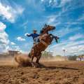 Unforgettable Live Rodeo Experiences Await