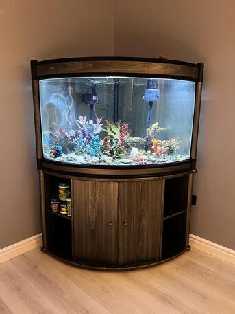 Manama, Pet Supplies, BHD 100,  Fish Tank