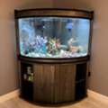 BHD 100, Fish Tank