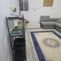 SAR 1200/month,  Room Available For Executive Bachelor