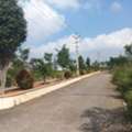 INR 44999,  120 Sq. Yard,  Exit 14 Plots Plots For Sale In Tukkuguda Hyderabad Contact- 6305534817