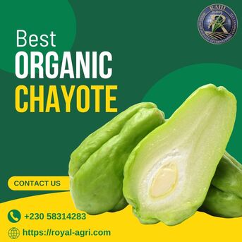 Port Louis, Food, MUR 0001,  Best Organic Chayote