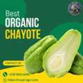 MUR 0001,  Best Organic Chayote