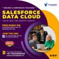 FREE Salesforce Data Cloud Live Demo &ndash; Feb 12 | Limited Seats!