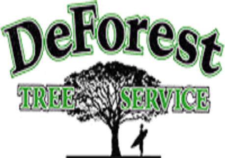 New York, Household, DeForest Tree Service