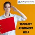 Professional Sociology Assignment Assistance For Students